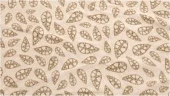 Outwell Nevada 5P Package Deal Navy Night -Familienzelt outwell nevada 5p package deal navy night 1 3